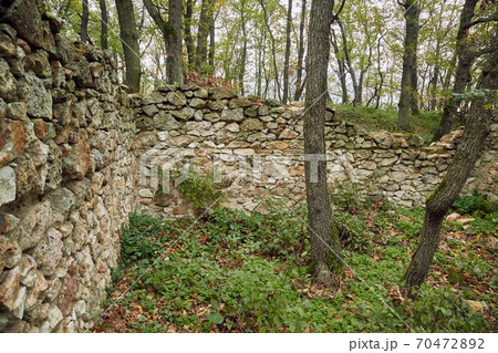 Old Stone Wall in a forest Old Stone Wall in a forest 70472892