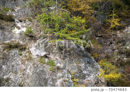 雪岳山 山 紅葉 70474683