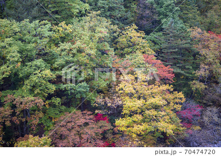 雪岳山 紅葉 秋 70474720