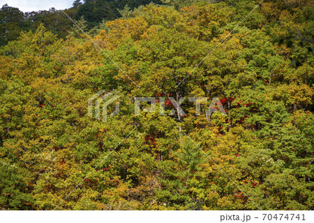 雪岳山 山 紅葉 70474741