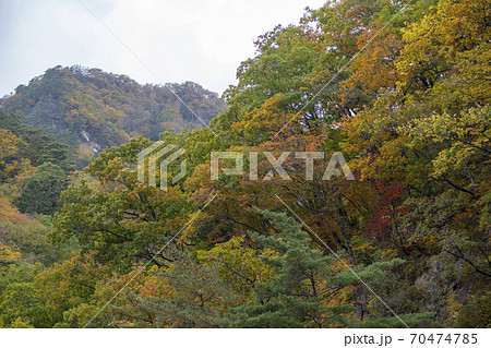 雪岳山 山 紅葉 70474785