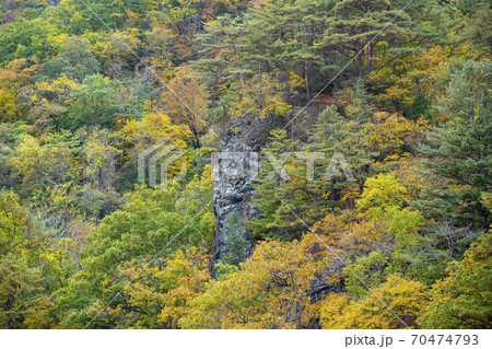 雪岳山 山 紅葉 70474793