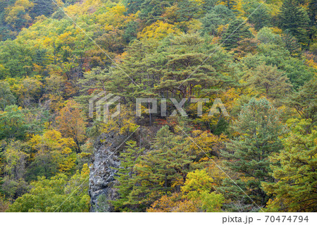 雪岳山 山 紅葉 70474794