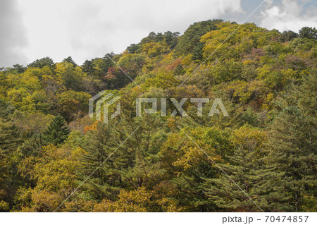 雪岳山 山 紅葉 70474857