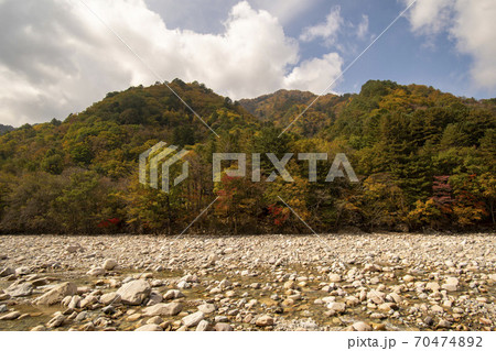 山 木 風景 70474892