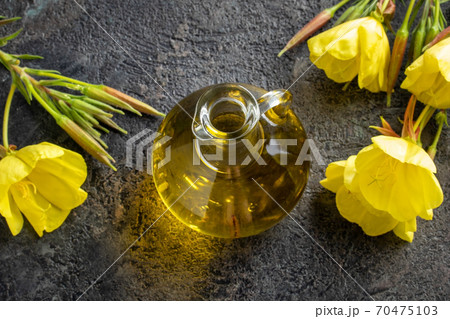 A bottle of evening primrose oil with blooming evening primrose plant 70475103