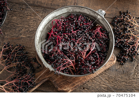Black elder berries in a sieve on a table Black elder berries in a sieve on a table 70475104
