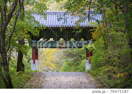 紅葉 秋 白潭寺 70475187