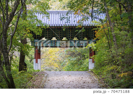 紅葉 秋 白潭寺 70475188