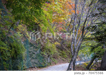 雪岳山 麟蹄郡 紅葉 70475566
