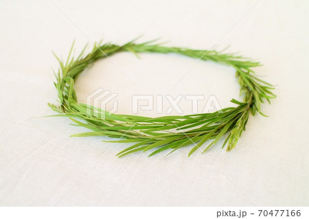 ホームパーティ 70477166