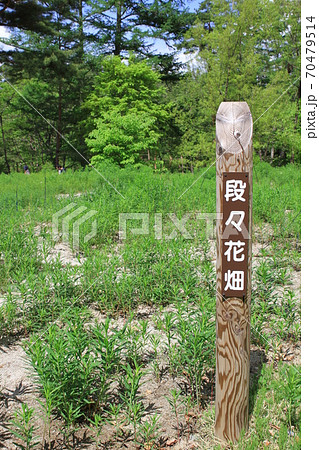 EOS7D早春賦アルプス公園その29 EOS7D早春賦アルプス公園その29 70479514