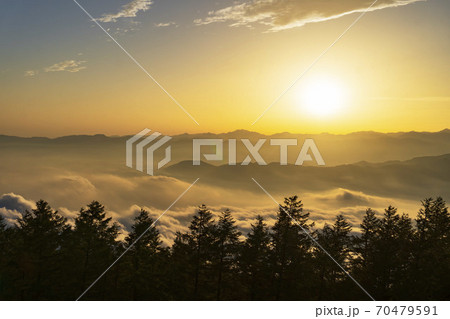 山並みと森のシルエットに夕焼けの雲海／富士山四合目 70479591