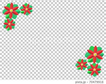 一品紅 一品紅 70479918