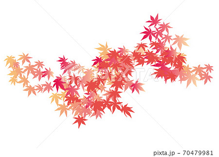 紅葉のイメージ 70479981