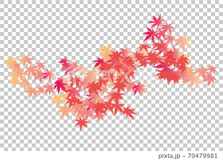 紅葉のイメージ 70479981
