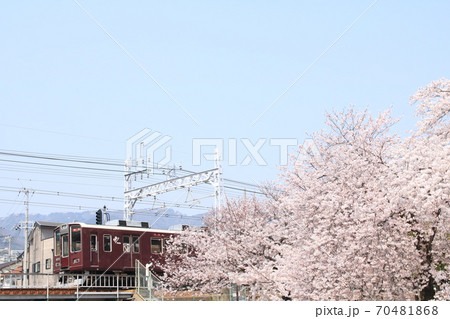 桜の木のそばを走る普通列車 桜の木のそばを走る普通列車 70481868