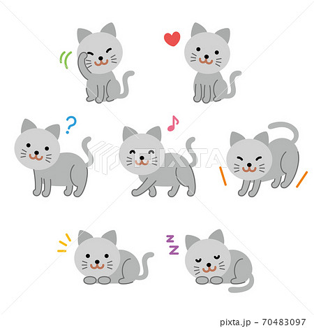 灰猫セット 70483097