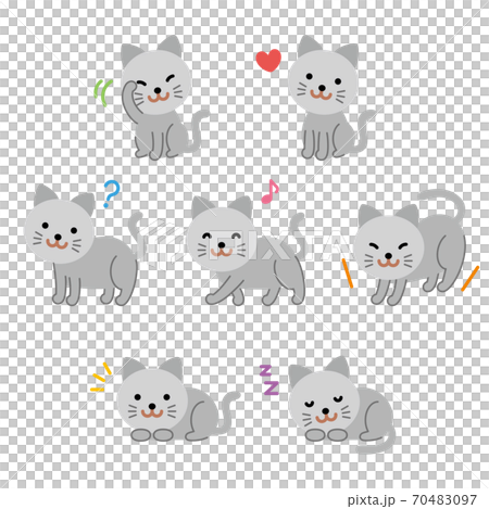 灰猫セット 70483097