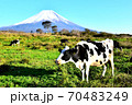 牛と富士山の年賀状素材 70483249