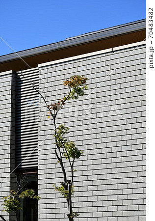 住宅街　一戸建て　新しい街並み 70483482