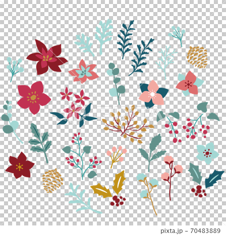 冬の植物 70483889