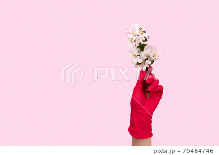 Female hand in a pink glove holds a flower. Stay safe stay home 70484746