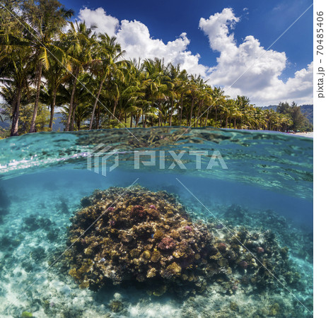 Underwater Scene With Reef And Tropical Fish 70485406