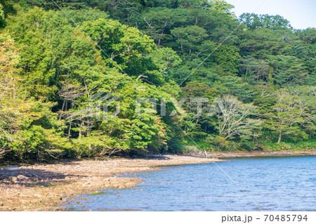 県立赤城公園　赤城大沼湖畔　初秋の風景 70485794