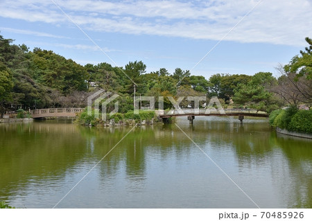 名城公園おふけ池 名城公園おふけ池 70485926
