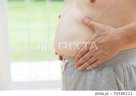 メタボリック 70486221