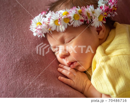 Portrait of 8 days old newborn baby girl sleeping 70486716