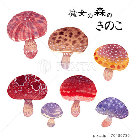 魔女の森のきのこのイラスト素材 [70486756] - PIXTA
