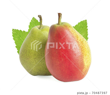 Sweet ripe pears an isolated on white background 70487397