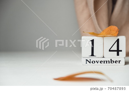 fourteenth day of autumn month calendar November with copy space 70487893