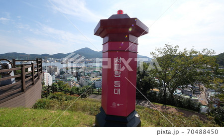 丘 秋の花 午後 70488450