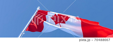 3D rendering of the national flag of Canada waving in the wind 3D rendering of the national flag of Canada waving in the wind 70488667