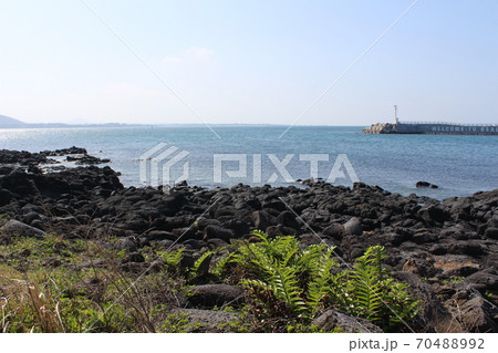 海岸 海 景色 70488992