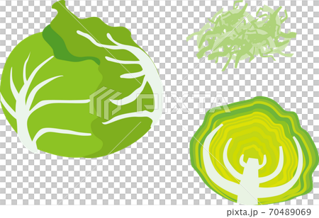 キャベツセット 70489069