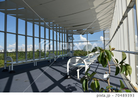 葛西臨海公園 クリスタルビュー 葛西臨海公園 クリスタルビュー 70489393