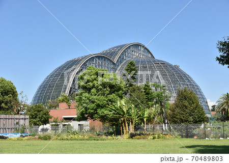 夢の島熱帯博物館 公園 夢の島熱帯博物館 公園 70489803