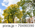 In the courtyard of stalinka building. Orange and green trees, Ukraine, Kharkov 70490390