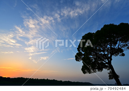夕暮れの彩湖の辺 70492484