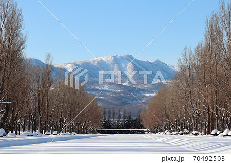 冬の前田森林公園と手稲山 70492503
