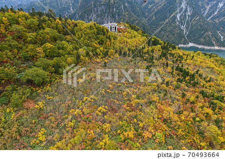 立山黒部アルペンルート 黒部ダムを臨むロープウェイと、大観峰からの紅葉 錦繍の絶景 立山黒部アルペンルート 黒部ダムを臨むロープウェイと、大観峰からの紅葉 錦繍の絶景 70493664