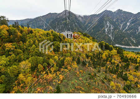 立山黒部アルペンルート 黒部ダムを臨むロープウェイと、大観峰からの紅葉 錦繍の絶景 立山黒部アルペンルート 黒部ダムを臨むロープウェイと、大観峰からの紅葉 錦繍の絶景 70493666