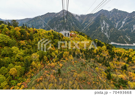 立山黒部アルペンルート 黒部ダムを臨むロープウェイと、大観峰からの紅葉 錦繍の絶景 立山黒部アルペンルート 黒部ダムを臨むロープウェイと、大観峰からの紅葉 錦繍の絶景 70493668