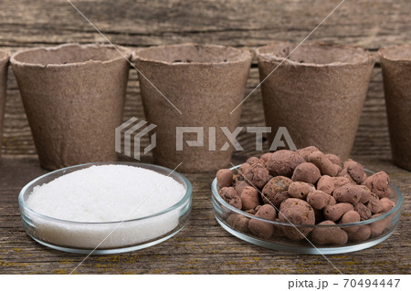 In the foreground there is a hydro gel and expanded clay in glass plates, a concept 70494447