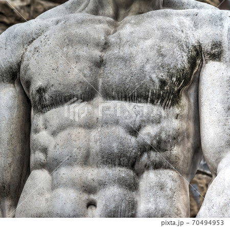 Detail of chest of Hercules statue 70494953