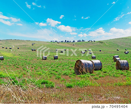 Hay bales in summertime Hay bales in summertime 70495404